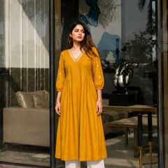 Solid Embroidered Kurta with Pant